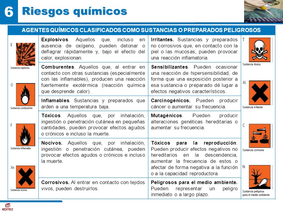 Las lombrices neumónicas a la persona como curar